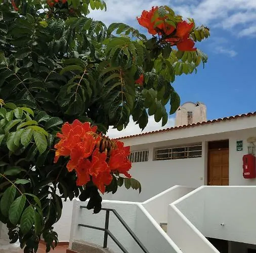 Daire Club El Paradero