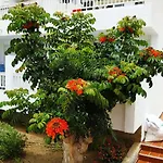 Apartment Club El Paradero Playa de las Americas (Tenerife)